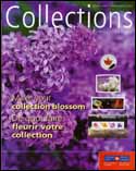 Collections