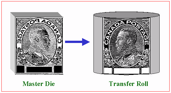 TRANSFER ROLL