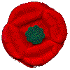 poppy2.gif (2745 bytes)